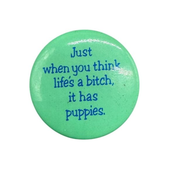 Humorous Green Pinback Button With Quote blue words circle 1.5" READ - Picture 1 of 2